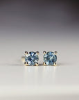 Blue Montana Sapphire Earrings in 14k Gold