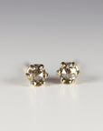 6 Prongs Champagne Diamond Stud Earrings