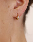 Paved Diamond Star Huggie Hoop Earrings 14k Gold