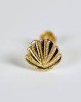 Mini Seashell Stud Earrings 14k Solid Gold