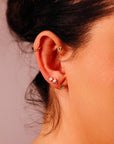 Mini Seashell Stud Earrings 14k Solid Gold