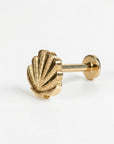 Mini Seashell Stud Earrings 14k Solid Gold - Melt'm Jewelry