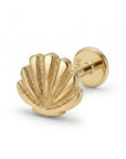 Mini Seashell Stud Earrings 14k Solid Gold - Melt'm Jewelry