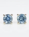Blue Montana Sapphire Earrings in 14k Gold