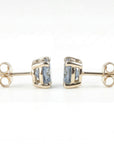 Blue Montana Sapphire Earrings in 14k Gold