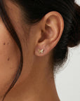 Butterfly Stud Earrings 14k Gold
