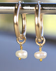 Rose Gold Dangle Hoops with Pearl, Pearl Hoop Earrings