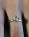 Rainbow Moonstone 14k Gold Ring