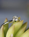 0.25ct Diamond Solitaire Ring 14K Solid White Gold