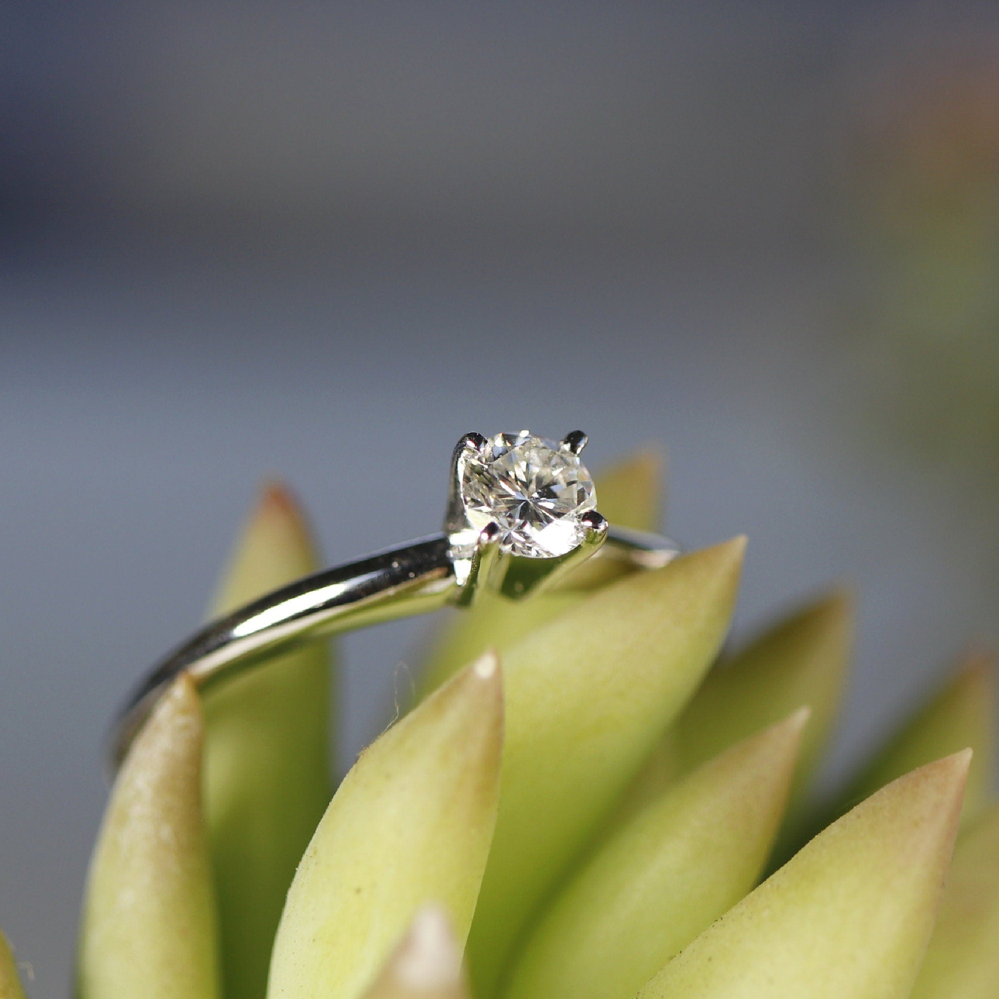 0.25ct Diamond Solitaire Ring 14K Solid White Gold - Melt'm Jewelry