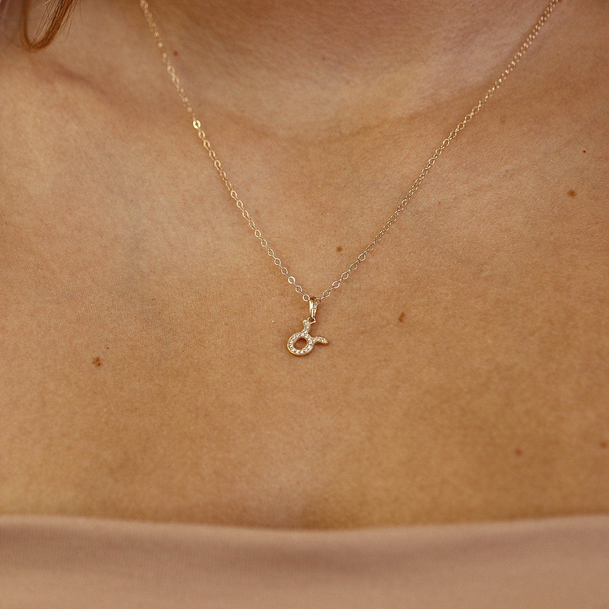 14k Solid Gold Zodiac Necklace, Custom Zodiac Necklace - Melt'm Jewelry