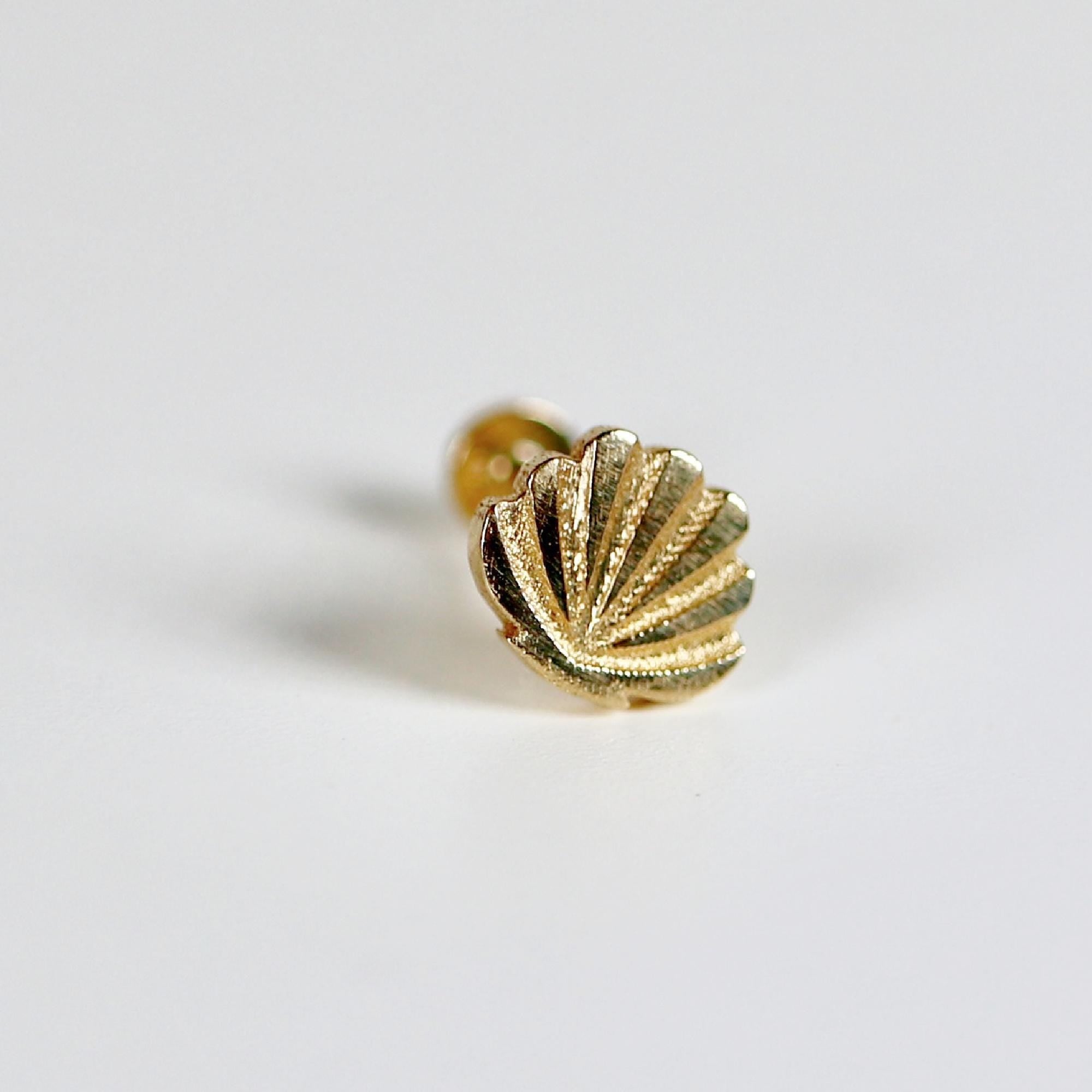 Mini Seashell Stud Earrings 14k Solid Gold - Melt'm Jewelry