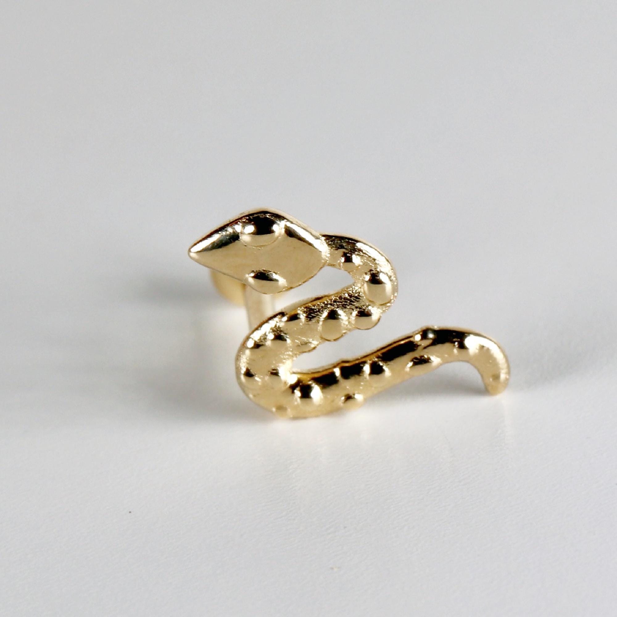 A gold snake-shaped earring. The snake is curled up with its head facing the viewer.