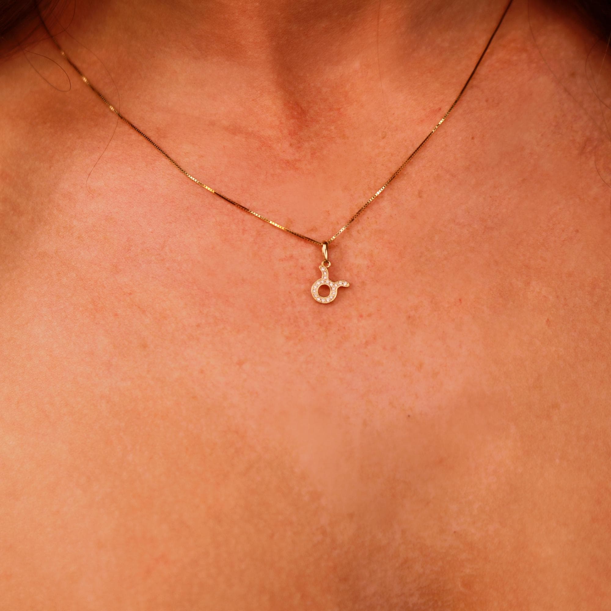 14k Solid Gold Zodiac Necklace, Custom Zodiac Necklace - Melt'm Jewelry