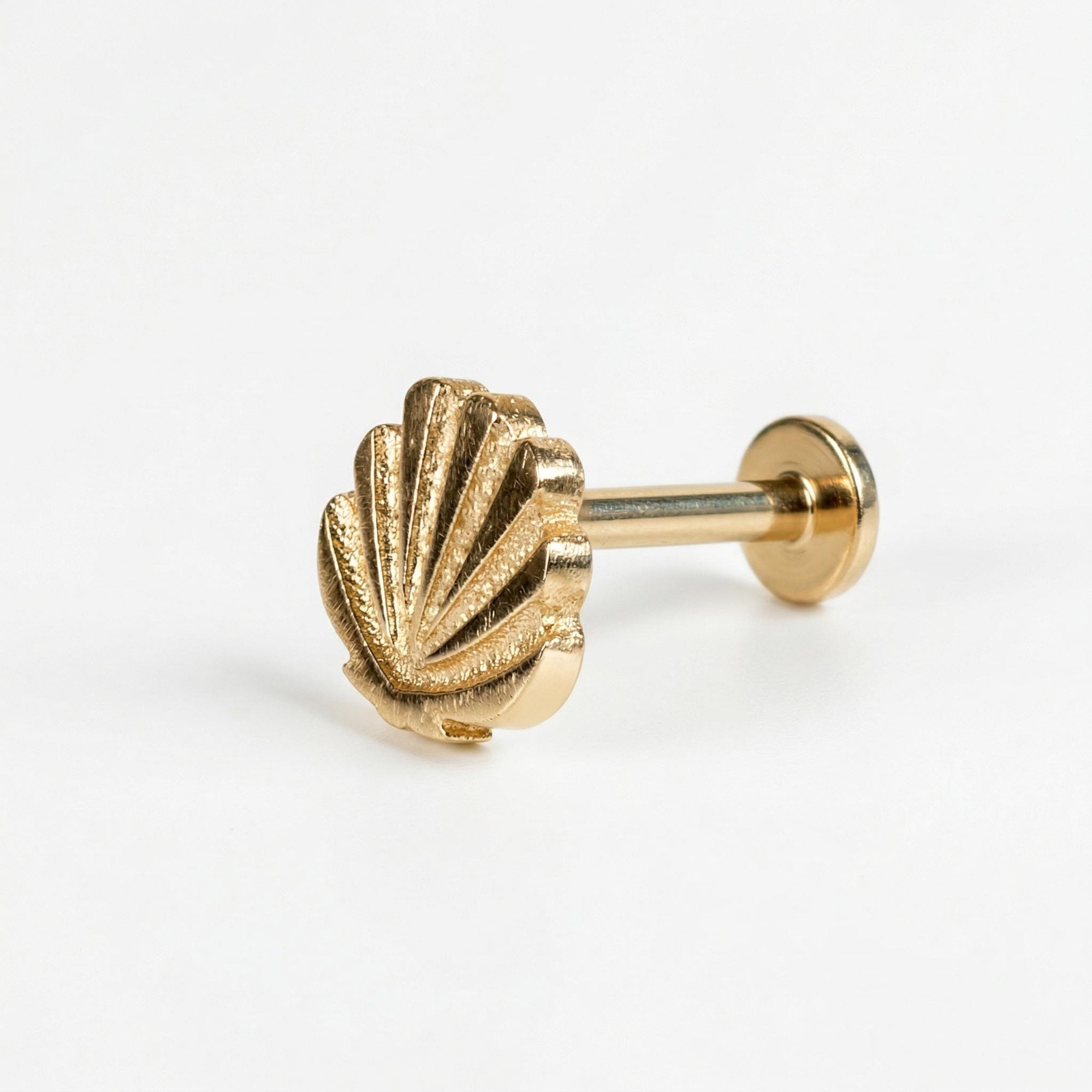 Mini Seashell Stud Earrings 14k Solid Gold - Melt'm Jewelry