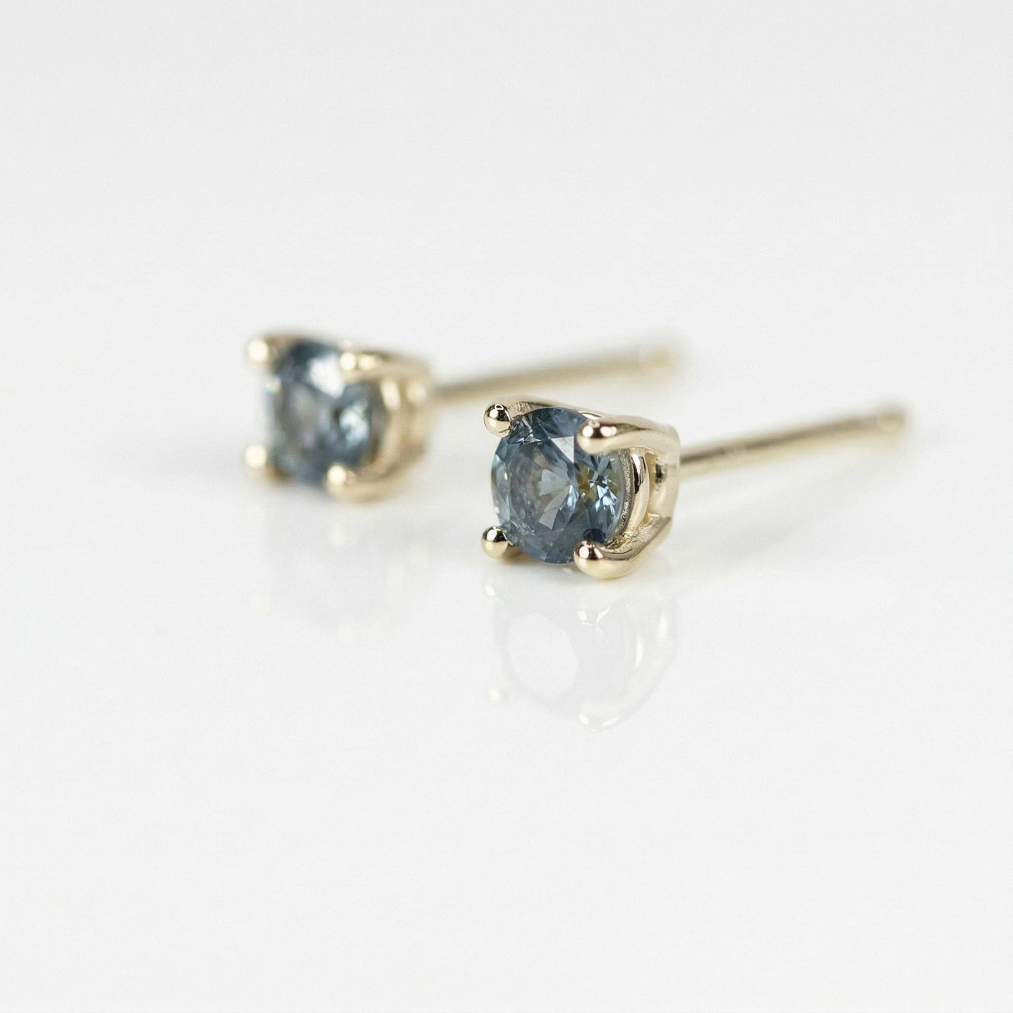 Blue Montana Sapphire Earrings in 14k Gold