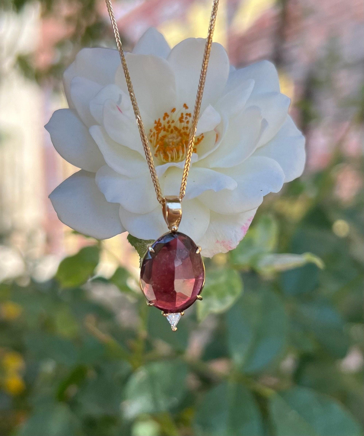 A gold necklace with an oval, faceted, dark pink tourmaline pendant, with a small triangular diamond set below it, hangs in front of a white rose.