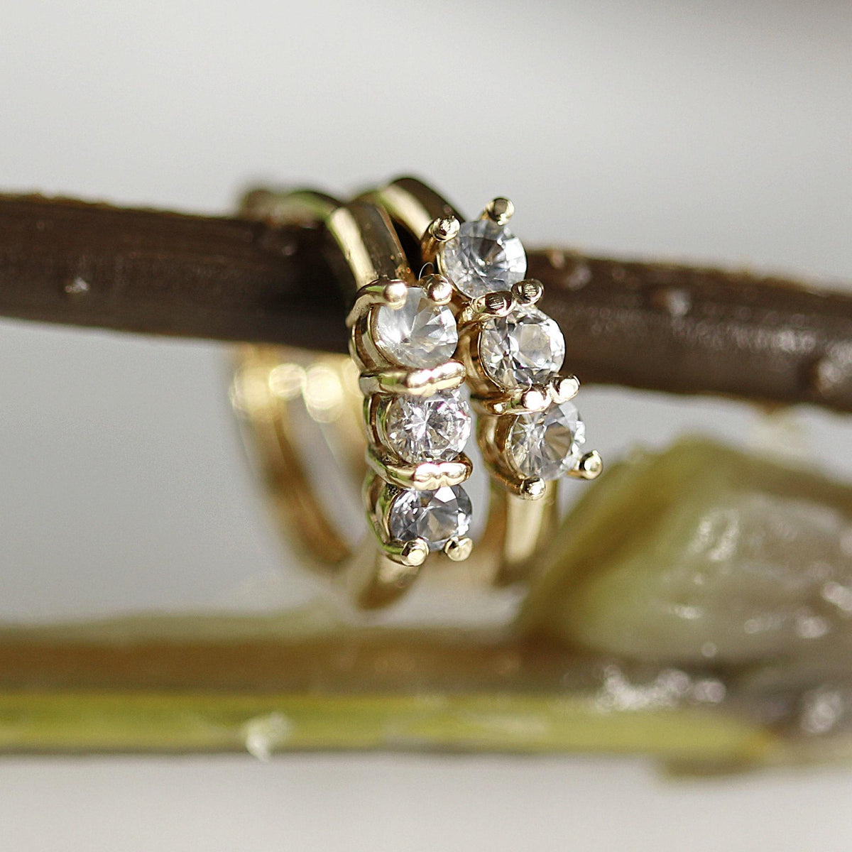 Two small gold huggie hoop earrings, each with three clear round stones, hanging from a dark brown branch.