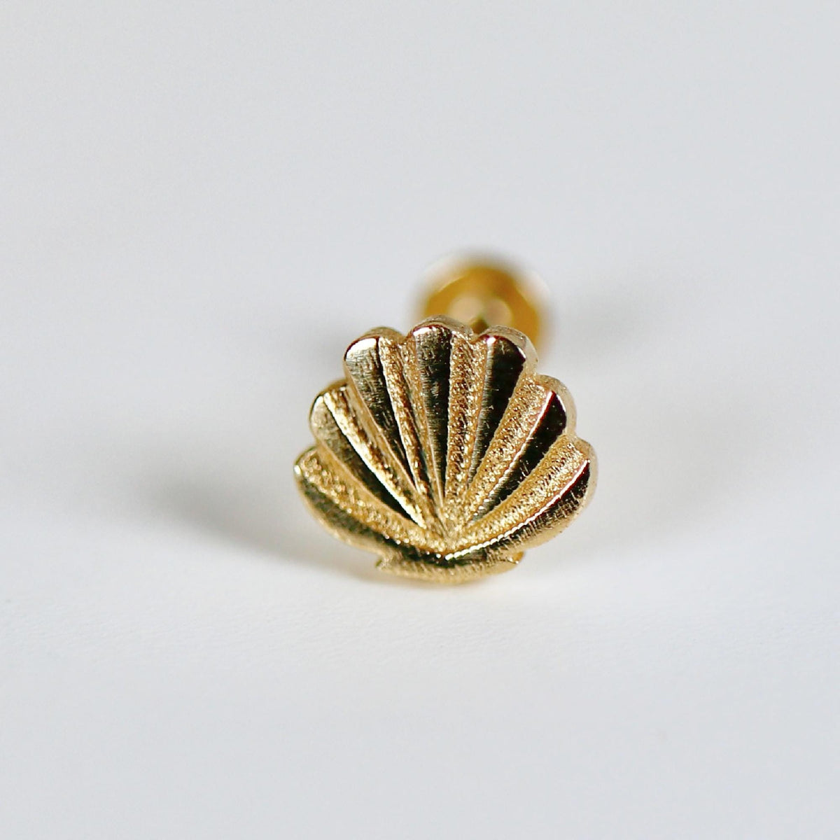Mini Seashell Stud Earrings 14k Solid Gold ( SINGLE OR PAIR) - Melt'm Jewelry