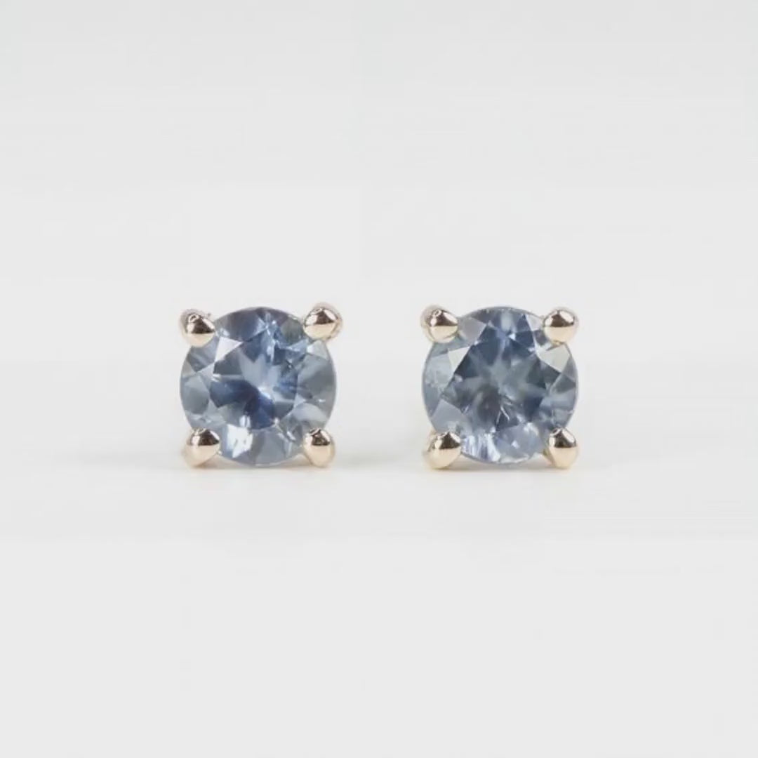 Blue Montana Sapphire Earrings in 14k Gold