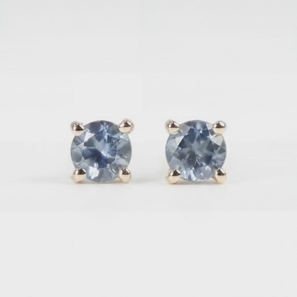 Blue Montana Sapphire Earrings in 14k Gold