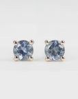 Blue Montana Sapphire Earrings in 14k Gold