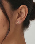 Butterfly Stud Earrings 14k Gold