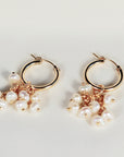 Gold Filled Pearl Hoops - Pearl Cluster Earrings
