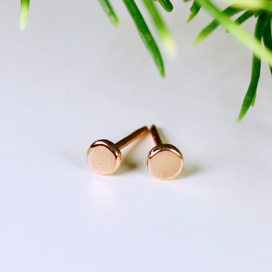 14k Yellow Gold Round Earrings
